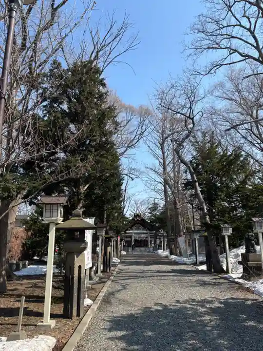 新琴似神社の景色