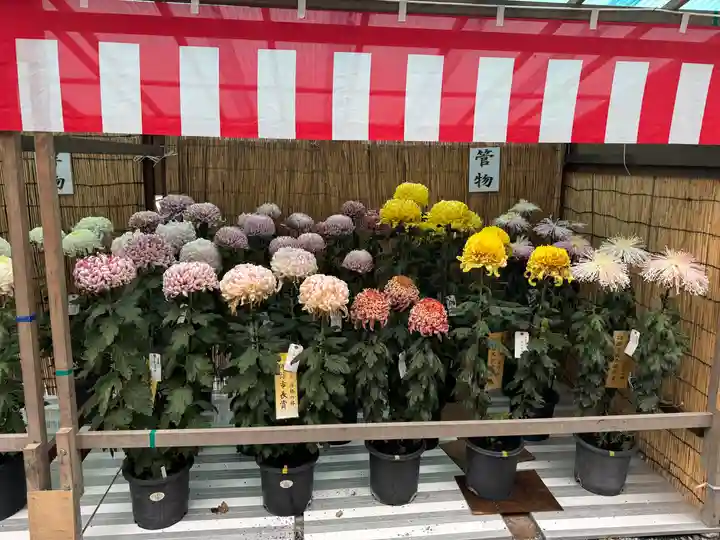 諏訪大社(長野県)