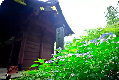 妙本寺(神奈川県)