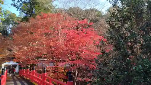 養父神社(兵庫県)