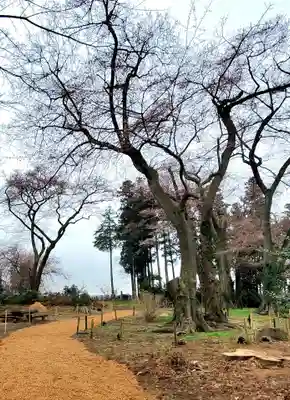 神炊館神社 ⁂奥州須賀川総鎮守⁂(福島県)