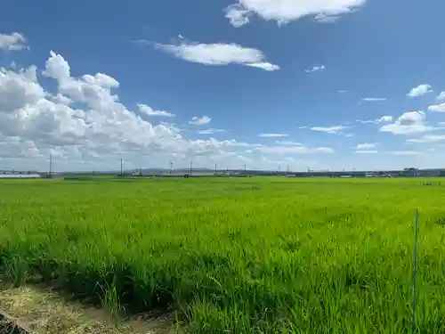 五穀稲荷神社の景色