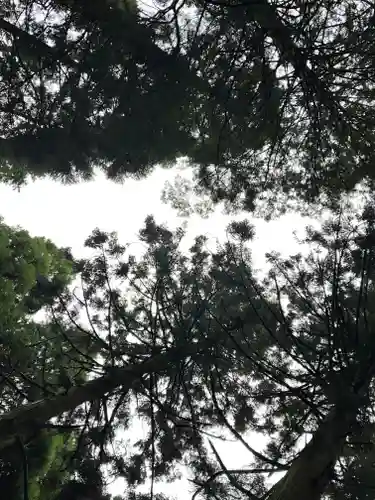 上色見熊野座神社(熊本県)