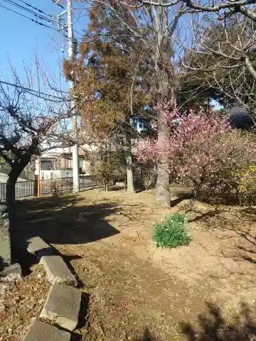 高岩天満神社(埼玉県)