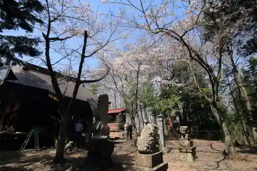 鷲神社の景色