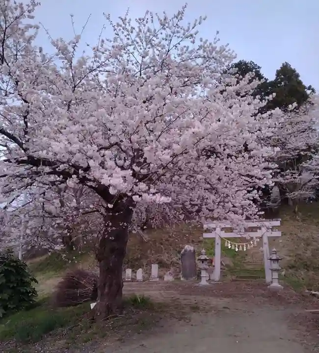 春日神社(宮沢)(宮城県)