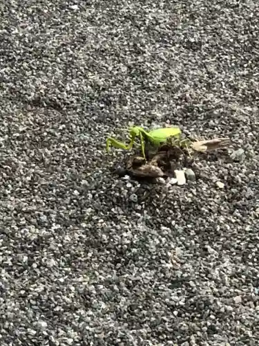 白山神社(福井県)