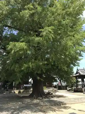 地蔵寺のその他建物