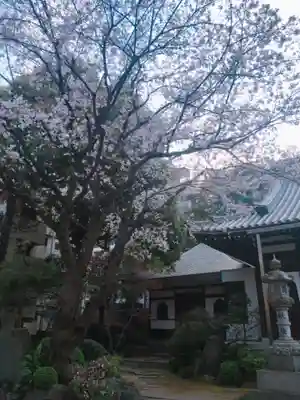 成願寺のその他建物