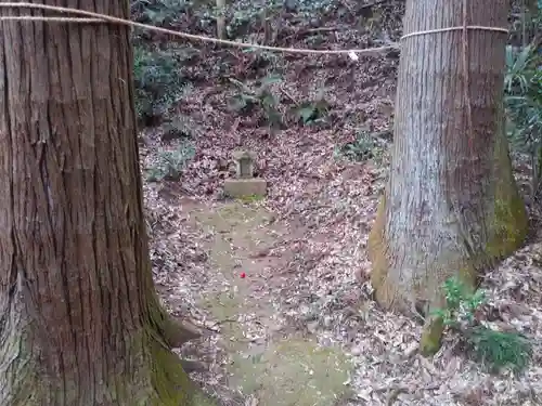 熊野神社の自然