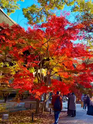 淨眞寺(東京都)