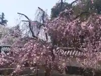 醍醐寺(京都府)