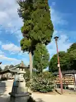 高尾神社のその他建物