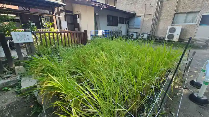 甲斐國一宮 浅間神社(山梨県)