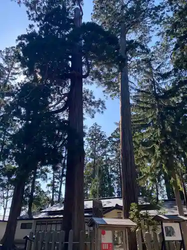 八坂神社(岩手県)