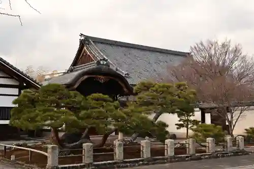 妙覺寺（妙覚寺）(京都府)