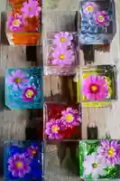 般若寺 ❁コスモス寺❁のその他建物