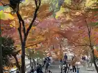 足助八幡宮の自然