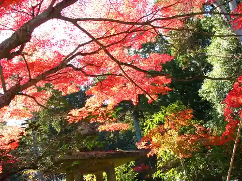 安養寺のその他建物
