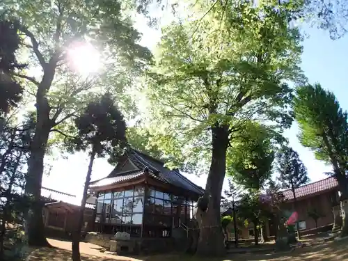 楢本神社のその他建物