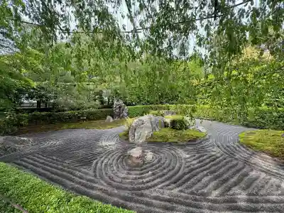 退蔵院の{uncategorized: "未分類", other: "その他", undefined: "問題あり", building: "その他建物", grave: "お墓", sacred_gate: "鳥居", guardian: "狛犬", statue: "像", buddha: "仏像", history: "歴史", nature: "自然", garden: "庭園", animal: "動物", pagoda: "塔", temizu: "手水舎", mountain_gate: "山門・神門", sanctuary: "本殿・本堂", subordinate: "末社・摂社", art: "芸術", scenery: "景色", jizo: "地蔵", ema: "絵馬", goshuin: "御朱印", omikuji: "おみくじ", items: "授与品その他", amulet: "お守り", goshuincho: "御朱印帳", eats: "食事", festival: "お祭り", votive_dance: "神楽", shichigosan: "七五三参", wedding: "結婚式", experience: "体験その他", initially: "初詣", around: "周辺", anti_infection: "感染症対策"}