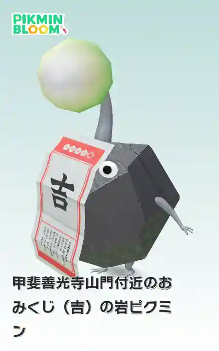 甲斐善光寺(山梨県)