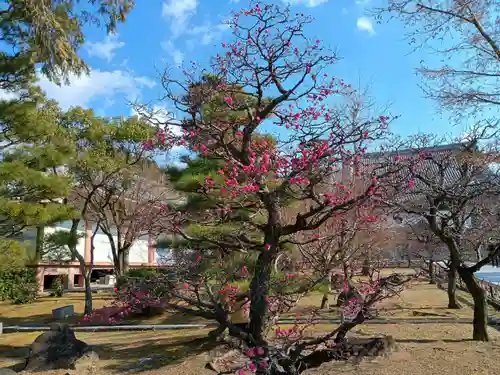  智積院(京都府)
