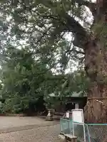 伊勢神明社(静岡県)