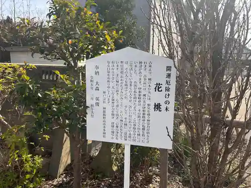 神館飯野高市本多神社(三重県)