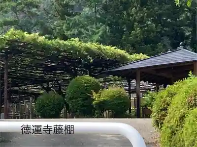 徳運寺(長野県)