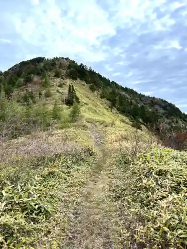 山家神社奥宮の自然
