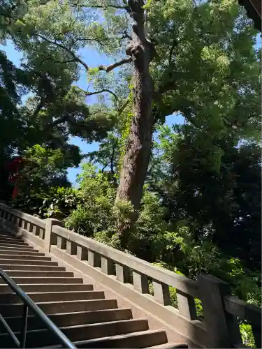 江島神社(神奈川県)