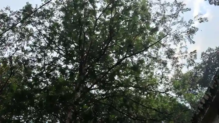 崇道神社(京都府)