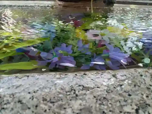 古宮神社(大阪府)