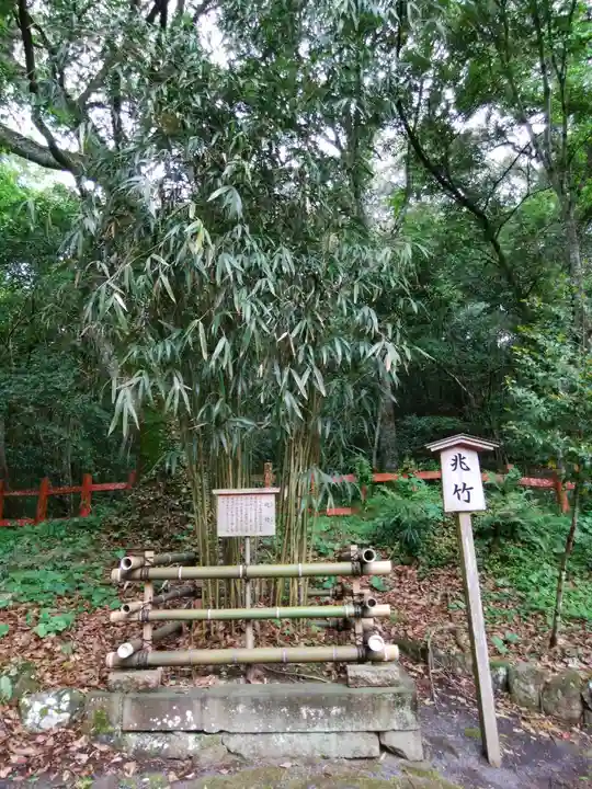 宇佐神宮の自然