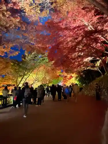 清水寺(京都府)