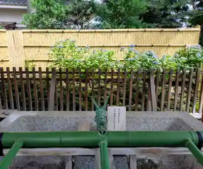 中野沼袋氷川神社(東京都)