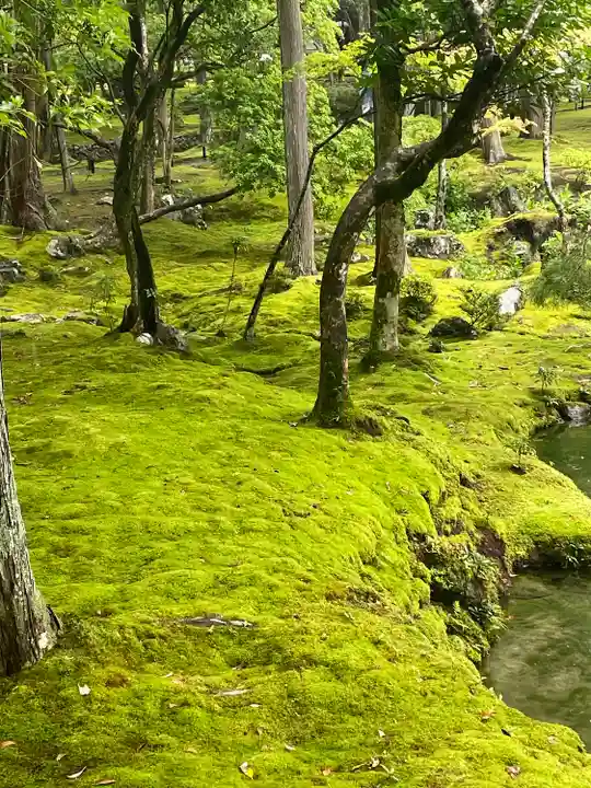 西芳寺(京都府)