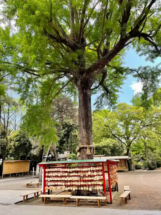 平塚八幡宮(神奈川県)