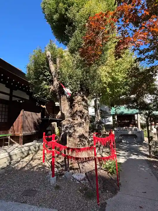三輪神社(愛知県)