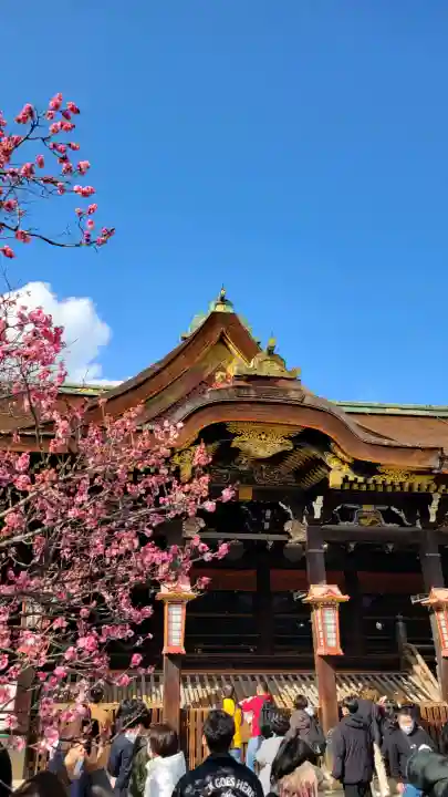 北野天満宮の{uncategorized: "未分類", other: "その他", undefined: "問題あり", building: "その他建物", grave: "お墓", sacred_gate: "鳥居", guardian: "狛犬", statue: "像", buddha: "仏像", history: "歴史", nature: "自然", garden: "庭園", animal: "動物", pagoda: "塔", temizu: "手水舎", mountain_gate: "山門・神門", sanctuary: "本殿・本堂", subordinate: "末社・摂社", art: "芸術", scenery: "景色", jizo: "地蔵", ema: "絵馬", goshuin: "御朱印", omikuji: "おみくじ", items: "授与品その他", amulet: "お守り", goshuincho: "御朱印帳", eats: "食事", festival: "お祭り", votive_dance: "神楽", shichigosan: "七五三参", wedding: "結婚式", experience: "体験その他", initially: "初詣", around: "周辺", anti_infection: "感染症対策"}