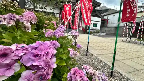 成田山函館別院函館寺(北海道)