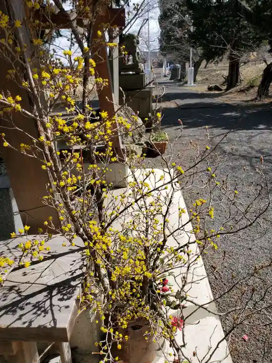 高司神社〜むすびの神の鎮まる社〜(福島県)