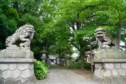 神炊館神社 ⁂奥州須賀川総鎮守⁂の狛犬