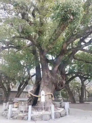 大麻比古神社の{uncategorized: "未分類", other: "その他", undefined: "問題あり", building: "その他建物", grave: "お墓", sacred_gate: "鳥居", guardian: "狛犬", statue: "像", buddha: "仏像", history: "歴史", nature: "自然", garden: "庭園", animal: "動物", pagoda: "塔", temizu: "手水舎", mountain_gate: "山門・神門", sanctuary: "本殿・本堂", subordinate: "末社・摂社", art: "芸術", scenery: "景色", jizo: "地蔵", ema: "絵馬", goshuin: "御朱印", omikuji: "おみくじ", items: "授与品その他", amulet: "お守り", goshuincho: "御朱印帳", eats: "食事", festival: "お祭り", votive_dance: "神楽", shichigosan: "七五三参", wedding: "結婚式", experience: "体験その他", initially: "初詣", around: "周辺", anti_infection: "感染症対策"}
