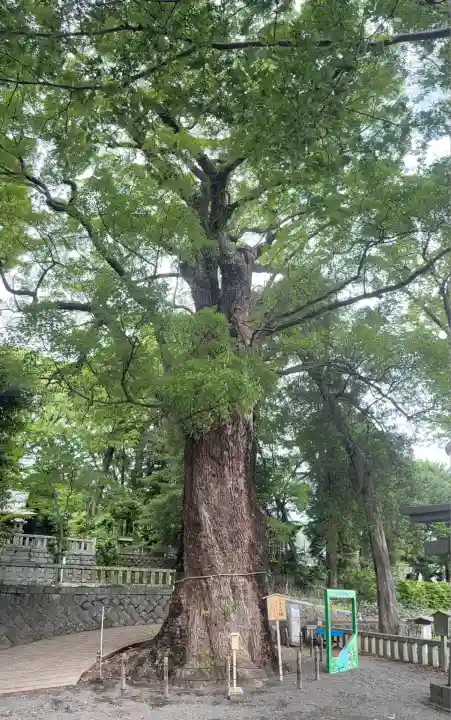 五所神社(神奈川県)