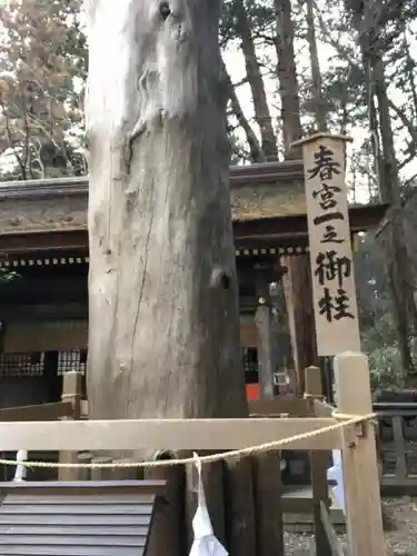 諏訪大社下社春宮のその他建物