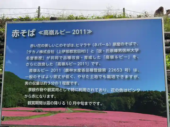 一宮神社(長野県)