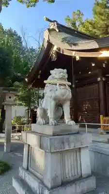 兵庫縣姫路護國神社の狛犬
