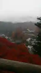 長谷寺の建物その他